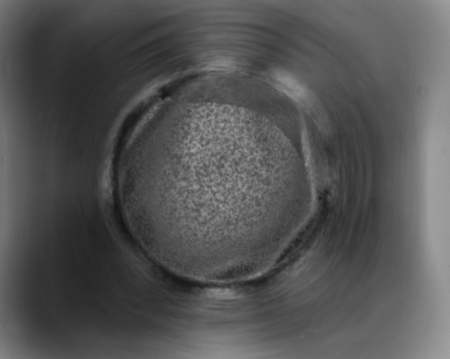 X0000089880392200707121816