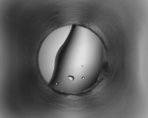 X0000089880393200707121816