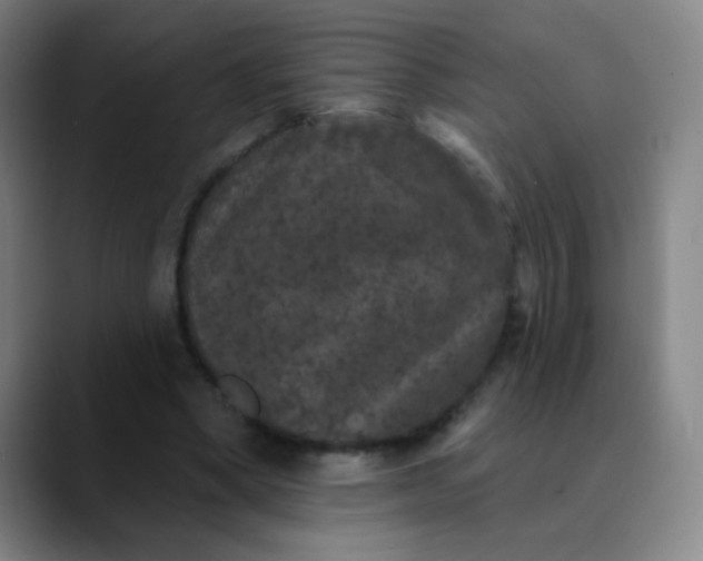 X0000089880394200707121816