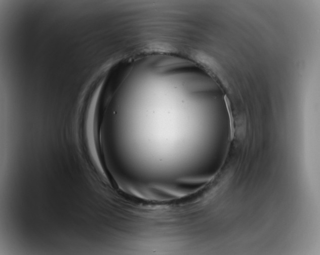 X0000089880395200707121816