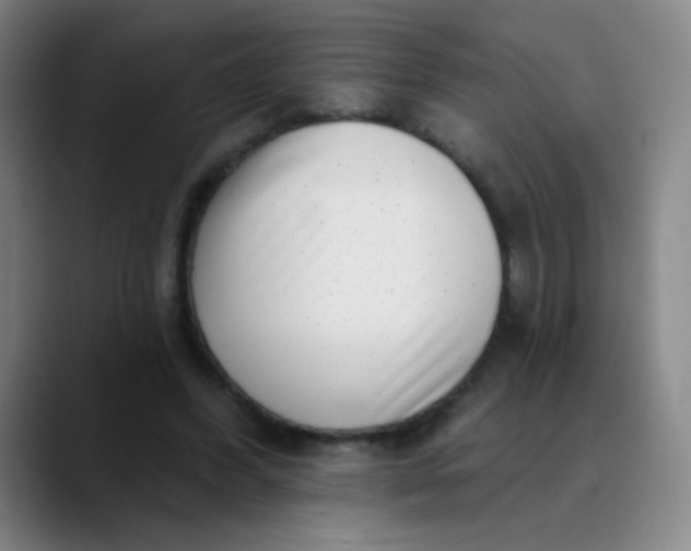 X0000089880396200707121816