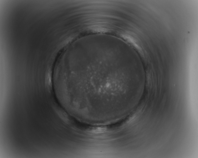 X0000089880398200707121816