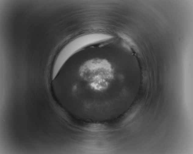 X0000089880399200707121816