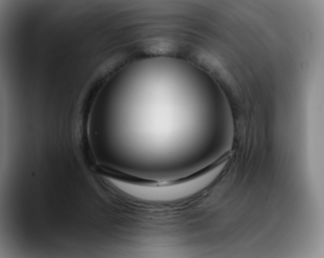 X0000089880400200707121816