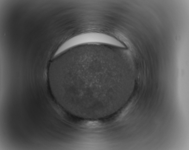 X0000089880401200707121816