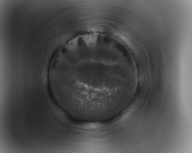 X0000089880402200707121816