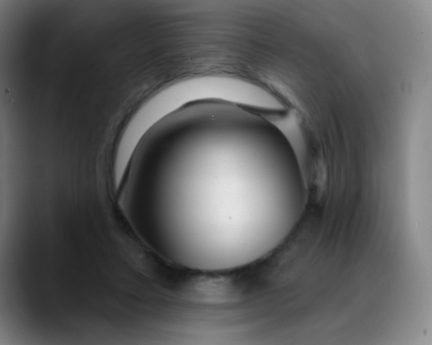 X0000089880403200707121816