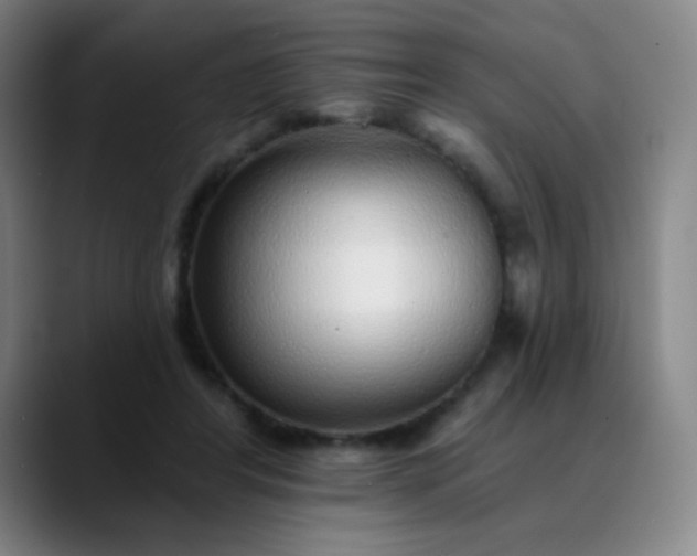 X0000089880404200707121816