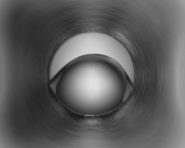 X0000089880405200707121816