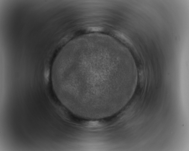 X0000089880406200707121816