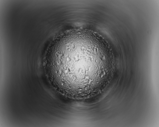 X0000089880408200707121816