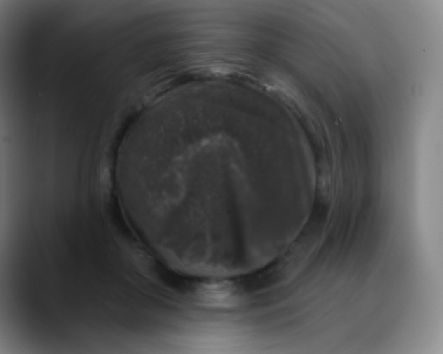 X0000089880410200707121816