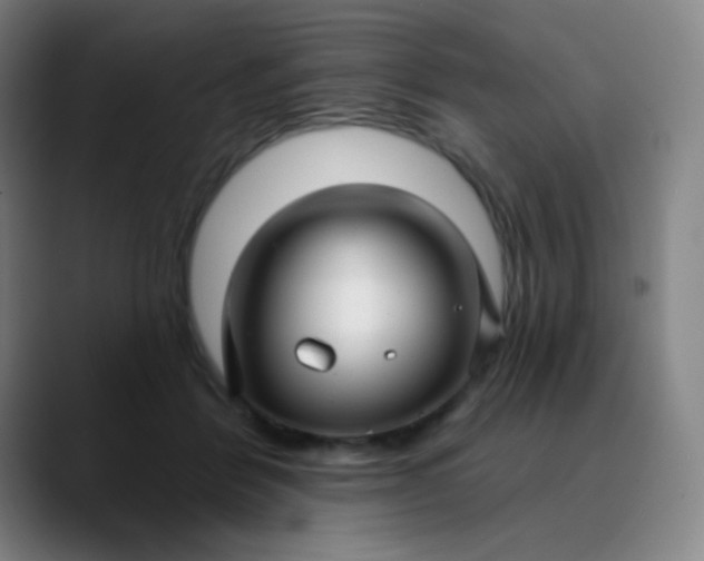 X0000089880412200707121816