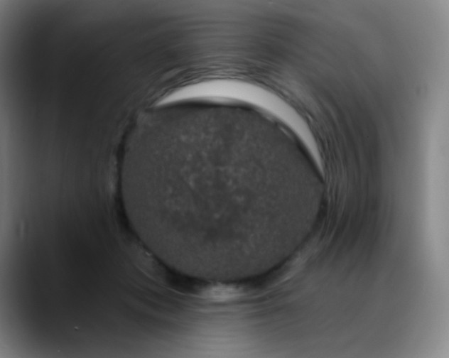 X0000089880413200707121816