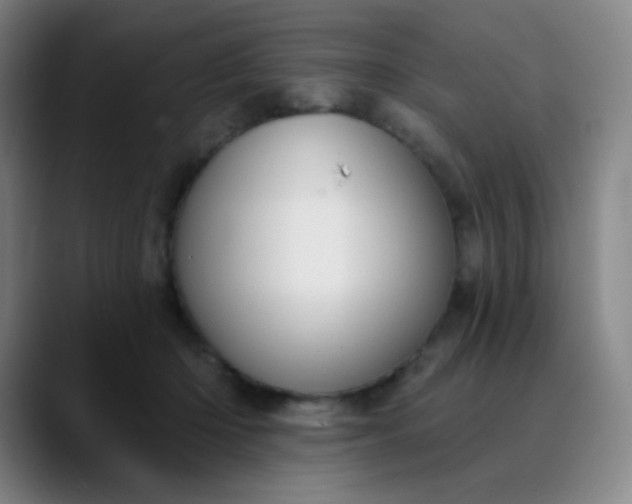 X0000089880414200707121816