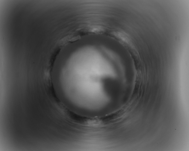 X0000089880415200707121816