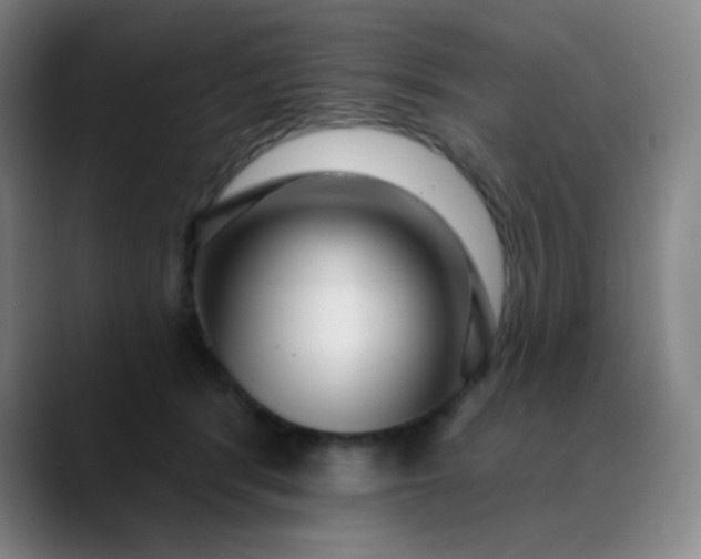 X0000089880416200707121816