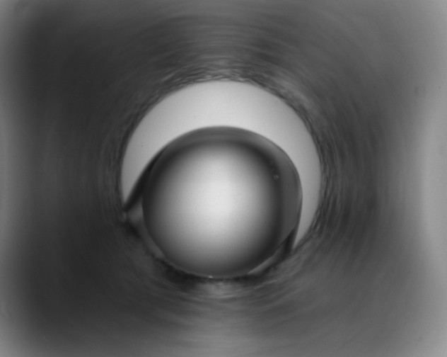 X0000089880417200707121816