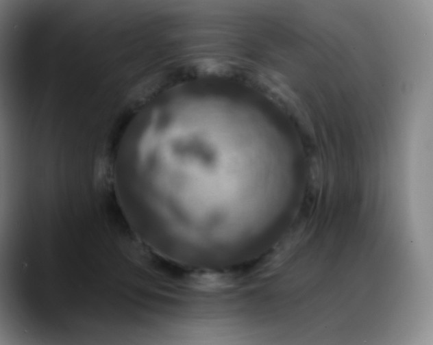 X0000089880419200707121816