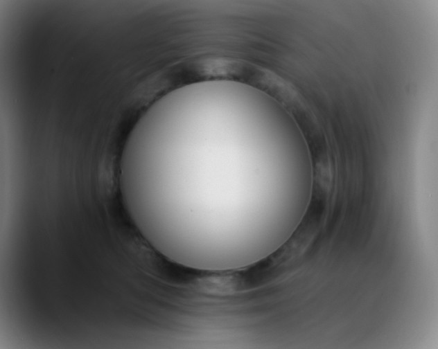 X0000089880422200707121816