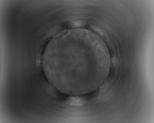 X0000089880423200707121816