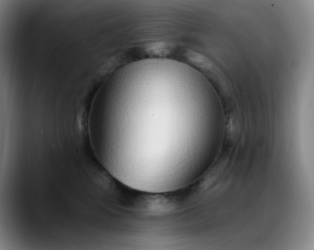 X0000089880424200707121816