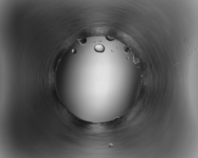 X0000089880425200707121816