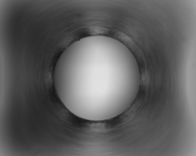 X0000089880426200707121816