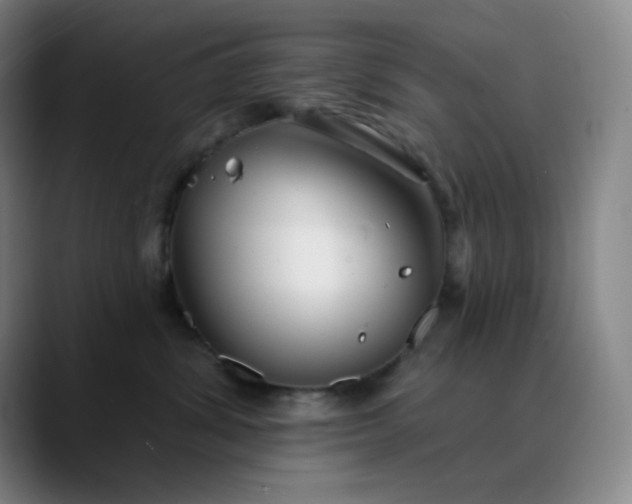 X0000089880428200707121816