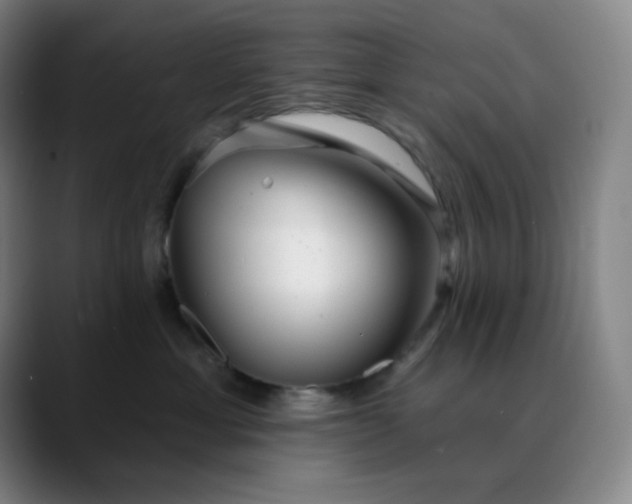 X0000089880429200707121816