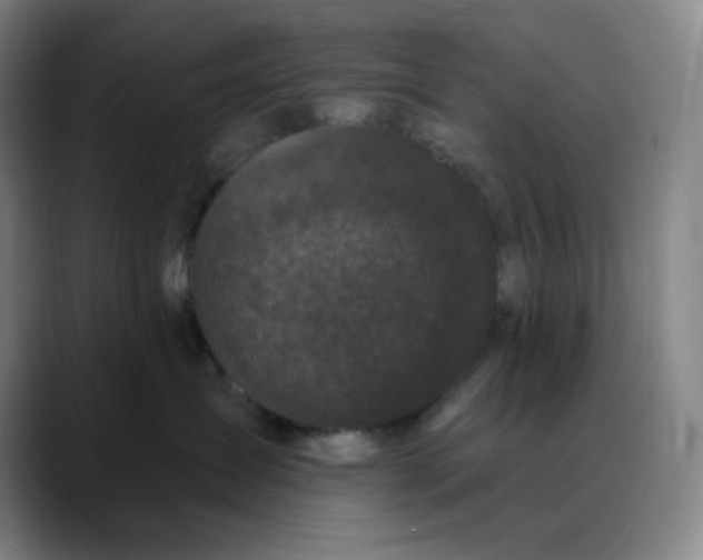 X0000089880431200707121816