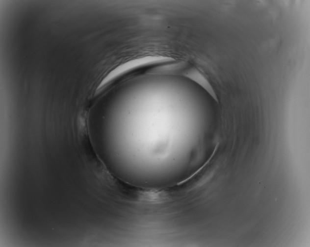 X0000089880432200707121816