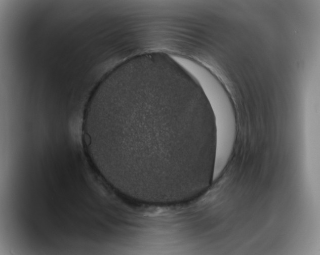 X0000089880434200707121815