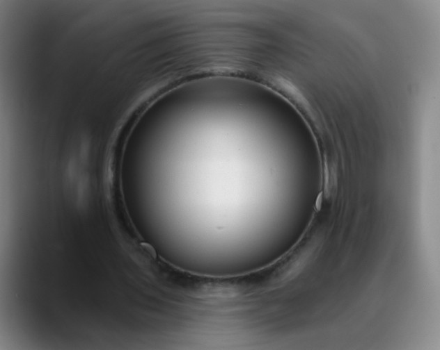 X0000089880435200707121815