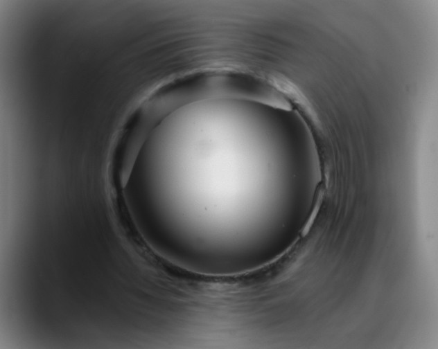 X0000089880436200707121815