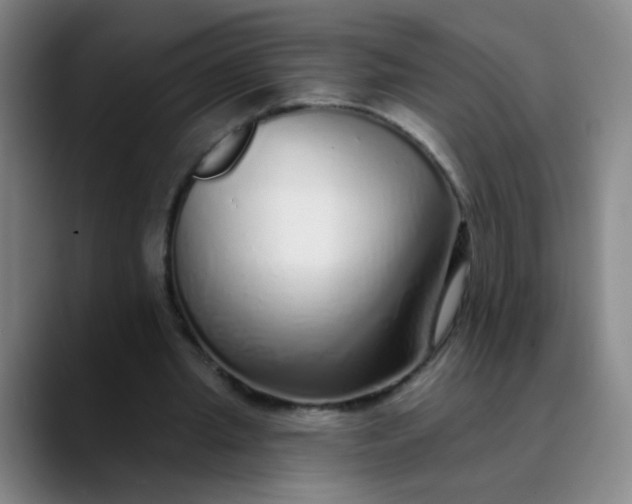 X0000089880437200707121815