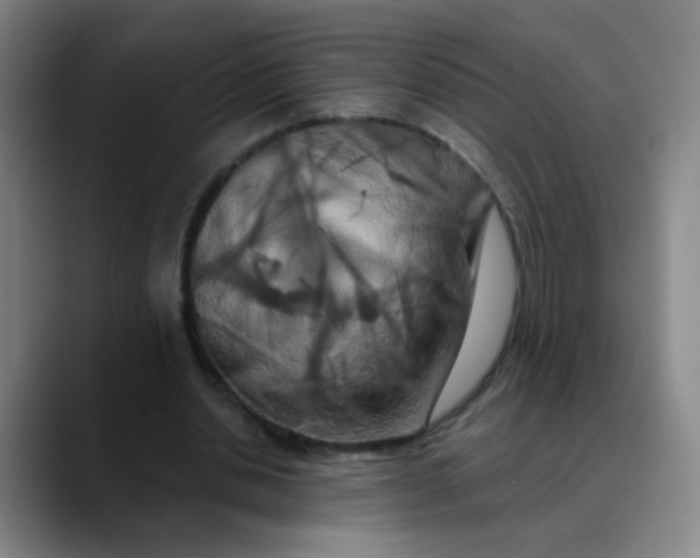 X0000089880438200707121815