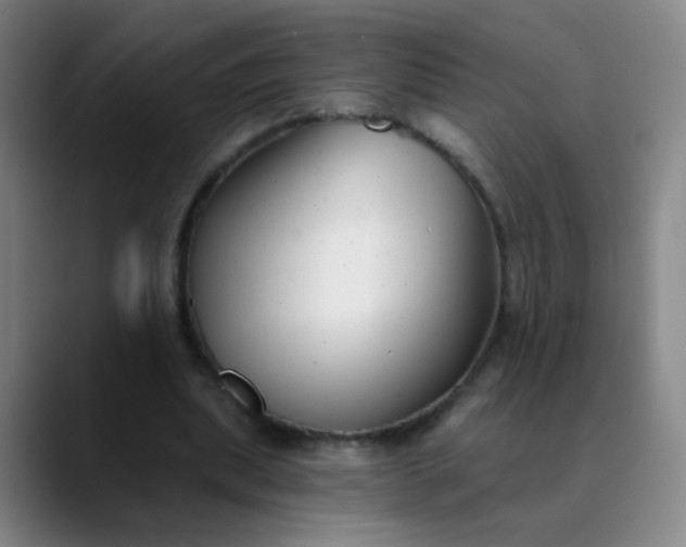 X0000089880439200707121815