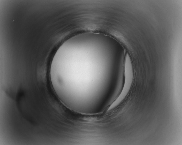 X0000089880440200707121815