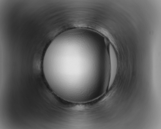 X0000089880441200707121815