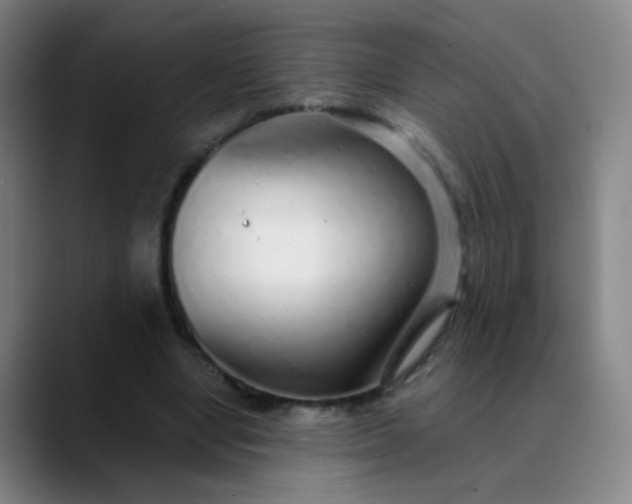 X0000089880442200707121815