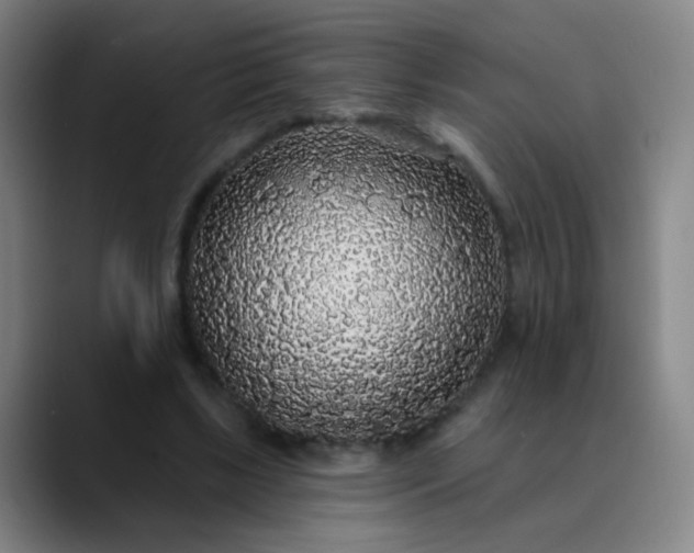 X0000089880443200707121815