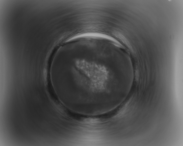 X0000089880444200707121815