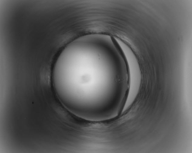 X0000089880446200707121815