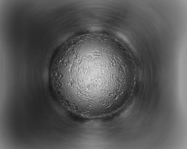 X0000089880447200707121815