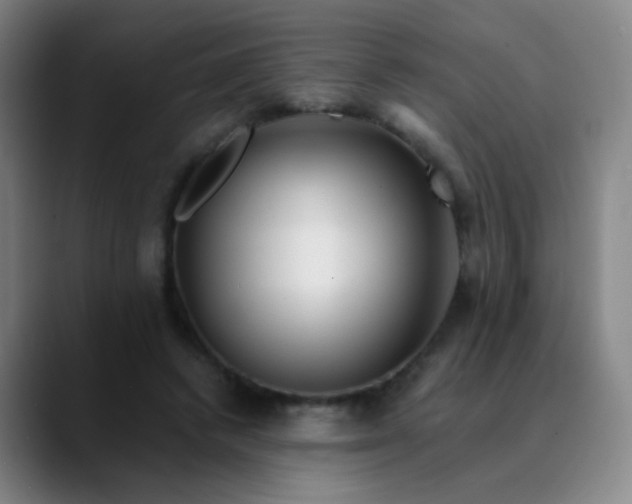 X0000089880448200707121815