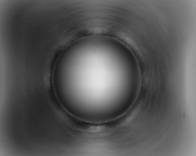 X0000089880450200707121815