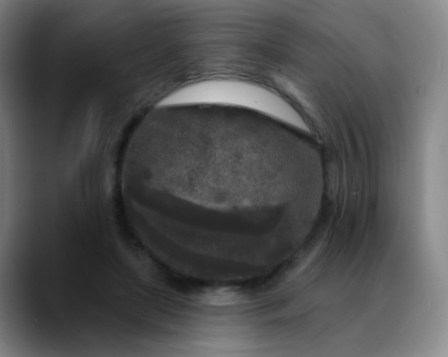 X0000089880451200707121815