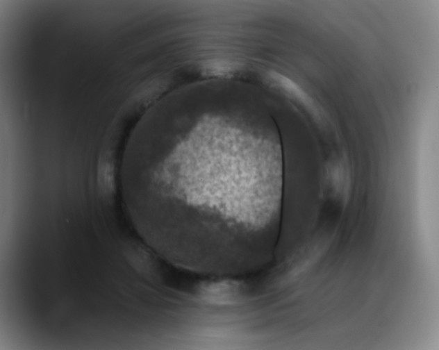 X0000089880452200707121815