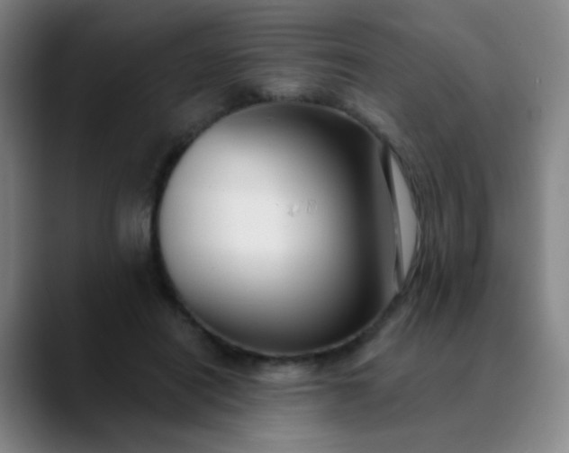 X0000089880454200707121815